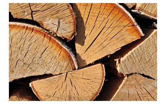 עץ להסקה יבש עם סדקים